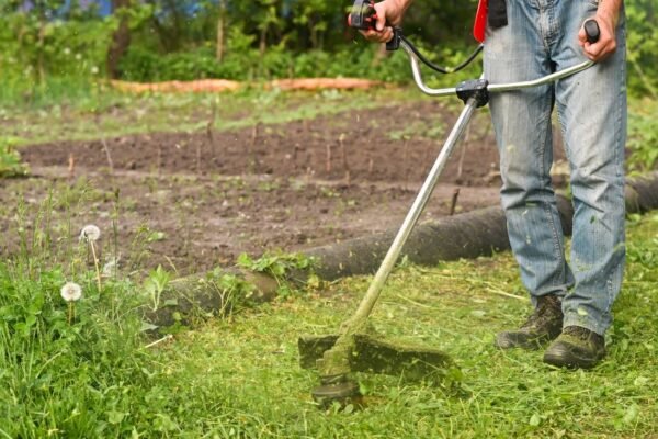 Aprendemos sobre la creación de cortafuegos en la Dehesa de Majadahonda
