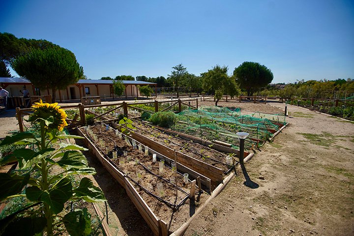 Educación Ambiental