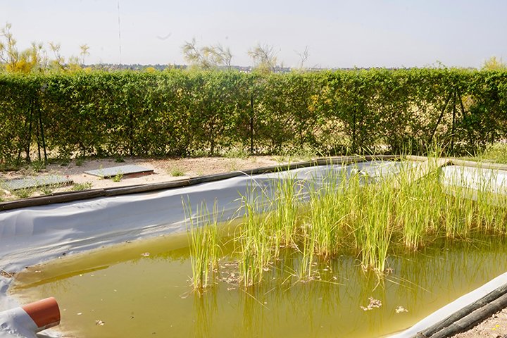 aguas pluviales
