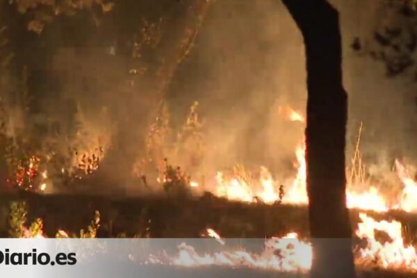 Un incendio en la Casa de Campo arrasa una zona de pasto cerca del Zoo de Madrid