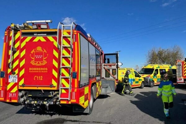 Bomberos de Madrid rescatan a un burro atrapado en un pozo en Robledo de Chavela