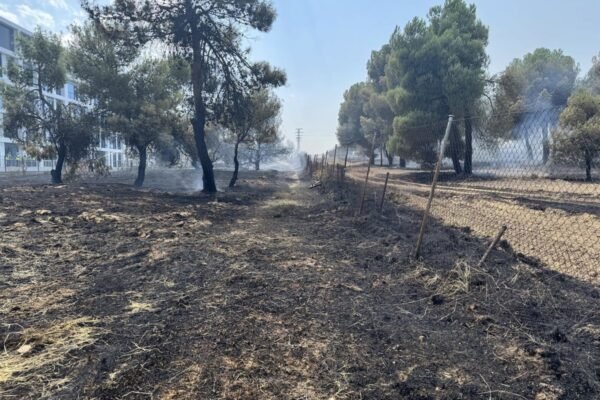 Controlado incendio de vegetación cerca de zona comercial en Pozuelo sin heridos