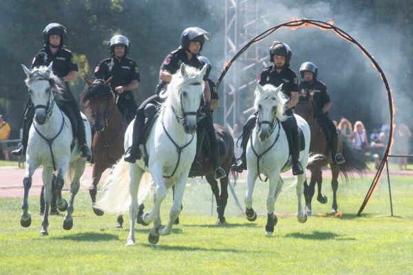 Exhibición de Fuerzas Armadas y Cuerpos de Seguridad en Alcalá de Henares