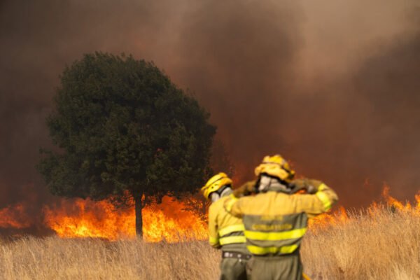 Las Brigadas Forestales de Madrid inician de nuevo la huelga este lunes