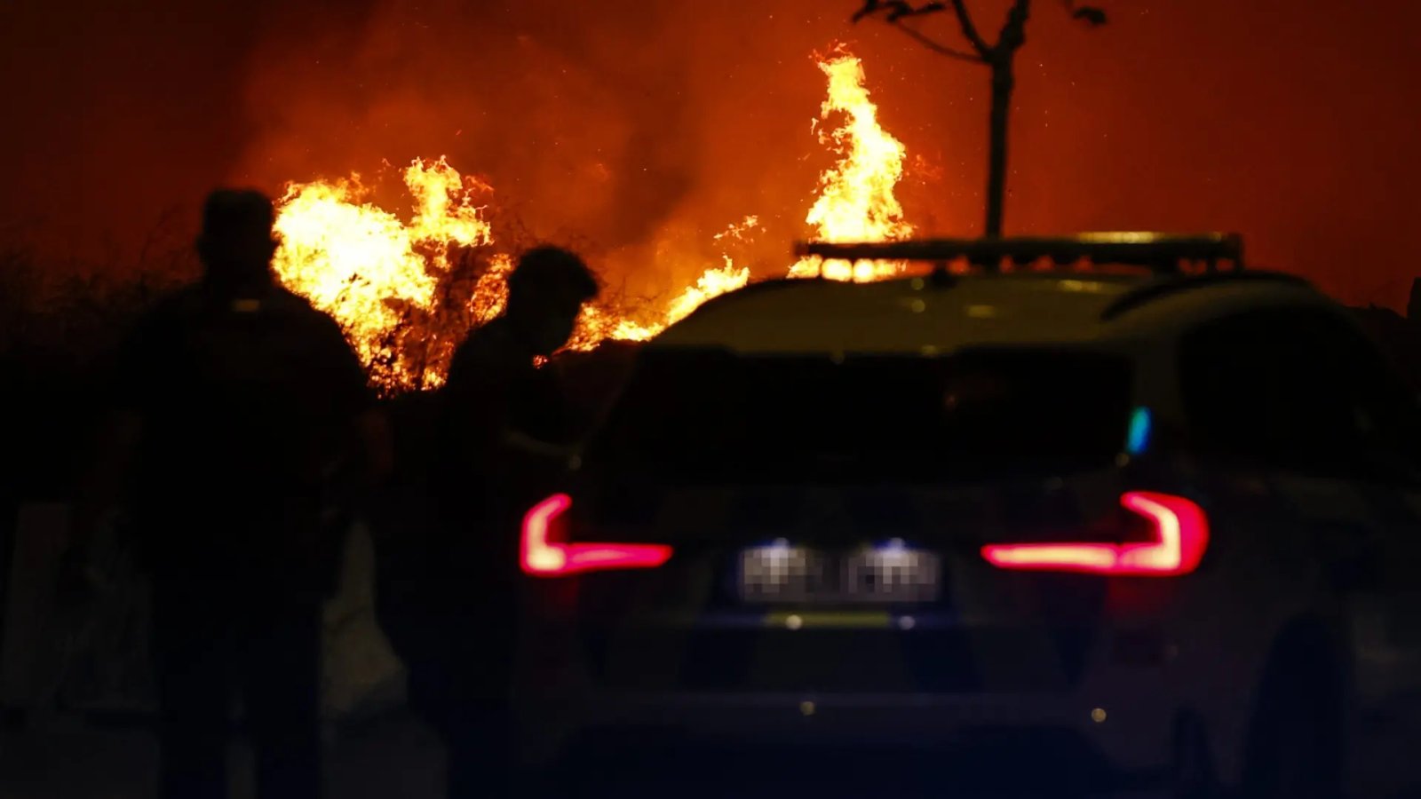 Fotos | Ola de incendios en España | Imágenes - Heraldo de Aragón