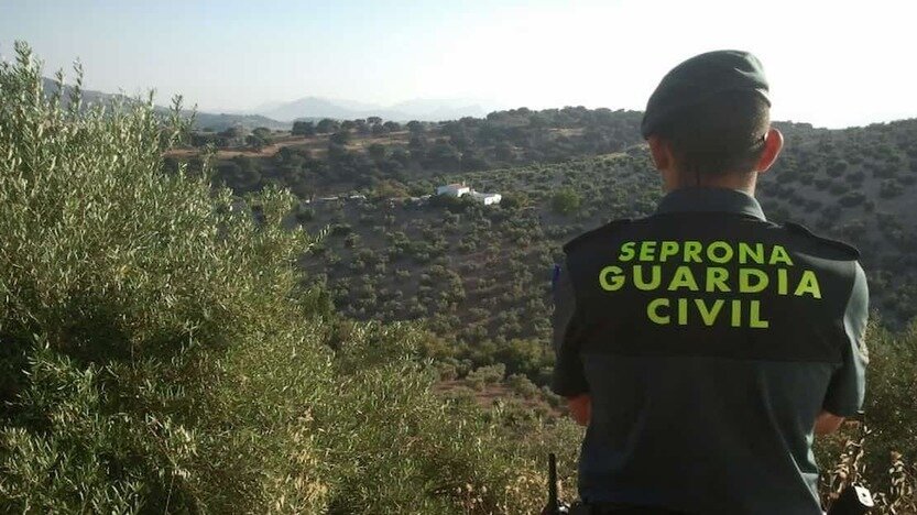 Un vecino de Mejorada del Campo, investigado por el incendio de Burguillos del Cerro que arrasó 1.100 hectáreas en Badajoz