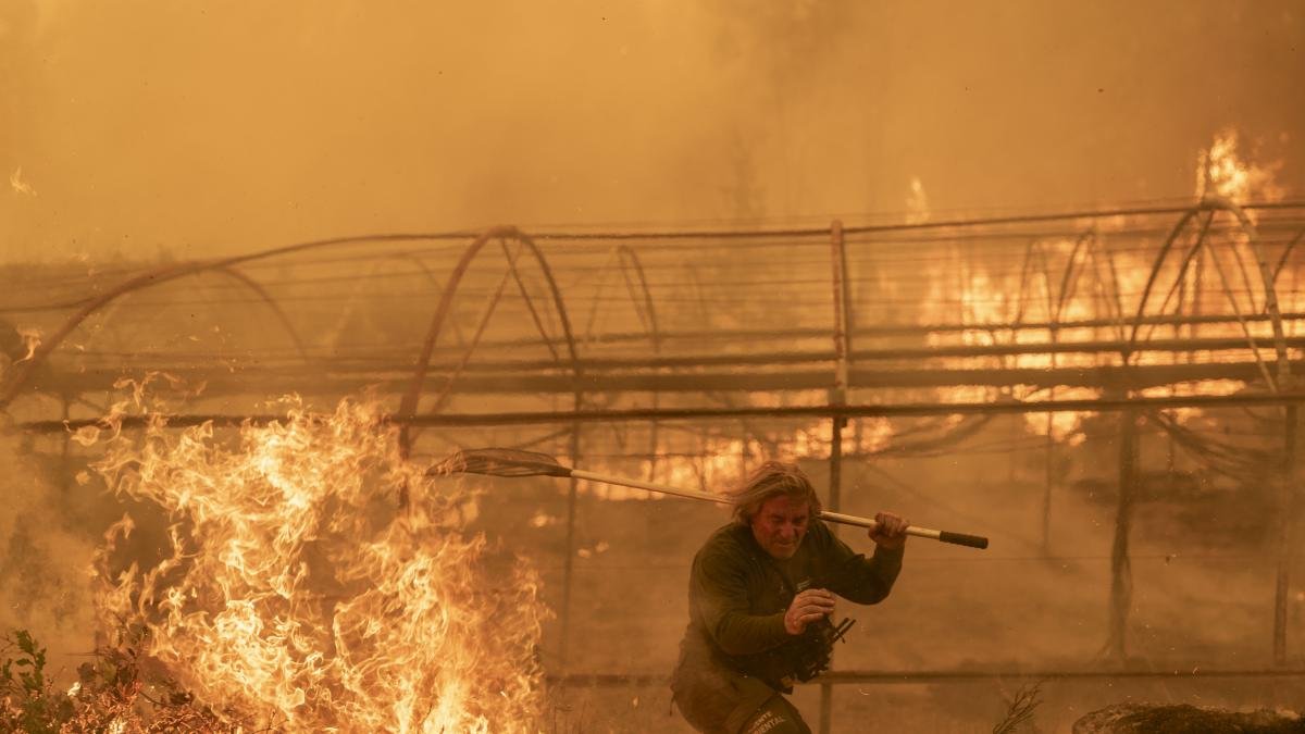 Última hora de los incendios, en directo: más de 40 fuegos asedian Castilla y León, Galicia ...