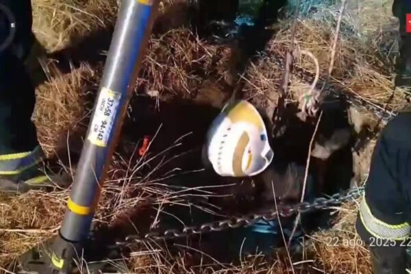 Rescatan a joven de 20 años tras caer en pozo en Torrejón de Ardoz Rescatada una joven de 20 años tras caer en un pozo de un descampado en Torrejón de Ardoz