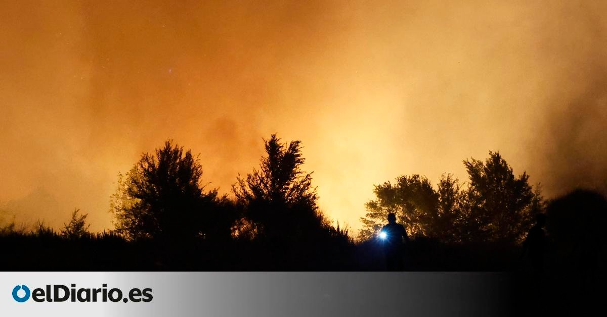 Greenpeace denuncia que el plan contra incendios de la Comunidad de Madrid excluía a Tres Cantos como zona de riesgo