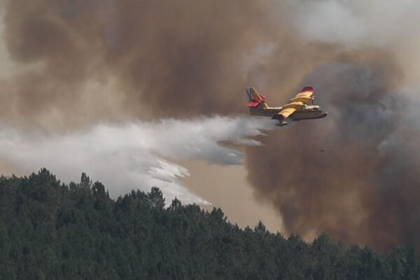 Sigue en directo la evolución de los incendios que afectan a varias zonas de España en medio de una ola de calor, con la última hora desde Madrid, León, Orense y Tarifa hoy.03:34Tragedia en Tres Cantos: ovejas en peligro por el fuegoUn incendio devastador en un valle cercano a Tres Cantos ha dejado a unas 150 ovejas autóctonas calcinadas, causando un gran impacto en la zona. Por Ricard López.03:02Evacuación en tres pueblos de Cáceres por incendioDebido a un incendio en la zona entre los Valles del Jerte y el Ambroz, los residentes de Villar de Plasencia, Jarilla y Cabezabellosa han sido evacuados por seguridad.La Guardia Civil y la Junta han activado el Plan Especial de Protección Civil ante Incendios Forestales de Extremadura para proteger a la población y al medio ambiente.02:01Agradecimiento al Rey por preocupación en GaliciaEl presidente de la Xunta, Alfonso Rueda, agradece al Rey su interés por la situación de los incendios en Galicia, especialmente en la provincia de Ourense.01:33Dramático incendio en Tres CantosUn incendio «explosivo» en Tres Cantos ha dejado un panorama desolador, con casas y terrenos calcinados. Testimonios impactantes de los afectados. Por Enia Gómez y Ricard López.00:59Complicaciones en el incendio de Calera y Chozas (Toledo)El fuego en Calera y Chozas se ha vuelto más complicado, activando el nivel 2 de emergencia. Numerosos efectivos trabajan en la zona para controlar la situación.23:56Detenidos por incendios forestalesLa Guardia Civil ha detenido a un individuo en Ávila por provocar un incendio forestal, y a una mujer en Galicia por presuntamente iniciar varios incendios en la región.23:26Múltiples incendios forestales en EspañaMás de una docena de incendios forestales afectan a varias regiones de España, siendo Castilla y León la más afectada. En Galicia, la provincia de Orense se encuentra en situación de emergencia debido a varios incendios activos. La circulación de trenes se ha restablecido tras interrupciones. En Madrid, el incendio en Tres Cantos ha cobrado su primera víctima en España durante esta ola de incendios. Se ha registrado un incendio en Madrid, León, Orense y Tarifa, donde se han quemado alrededor de 2.000 hectáreas. Actualmente, el fuego se encuentra perimetrado.En Navalmorejo, Toledo, las llamas han cruzado la frontera con Extremadura y han arrasado unas 3.000 hectáreas, el 75% de las cuales se encuentran en la comunidad vecina. El incendio se mantiene en Nivel 2 y se ha ordenado el confinamiento de las localidades de La Estrella y Villar de Pedrosa. En Extremadura, se han registrado hasta 12 incendios activos durante el día de hoy.Además, se ha declarado un incendio en Los Romeros, Jabugo (Huelva), que se encuentra en fase de emergencia en Situación Operativa 1. Hasta el momento, se ha evacuado a 240 personas como medida preventiva. El incendio en Madrid, León, Orense y Tarifa ha afectado a una extensión total de 220 hectáreas, de las cuales 182 corresponden a pino Alepo, tanto de repoblación como monte natural, según datos del Departamento de Desarrollo Rural y Medio Ambiente del Gobierno de Navarra. A través de EP.21:03El incendio de Navalmoralejo podría estar controlado al 100% al final del díaEl incendio en Navalmoralejo (Toledo), que ha afectado también a la comunidad extremeña, podría estar controlado al 100 por cien al final de esta jornada. Así lo ha confirmado el consejero de Presidencia, Interior y Diálogo Social de la Junta de Extremadura, Abel Bautista, en declaraciones a los medios. Aunque actualmente está controlado en un 90%, las condiciones meteorológicas no son las más favorables.20:57Desalojan preventivamente a unos 200 vecinos de Los Romeros y El Quejigo por incendio en Jabugo (Huelva)El consejero de la Presidencia, Interior, Diálogo Social y Simplificación Administrativa ha elevado la fase de emergencia a situación operativa 1, del Plan Infoca por un incendio en la pedanía de Los Romeros, en Jabugo, provocado por un rayo en una finca. Esto ha llevado al desalojo preventivo de unos 200 vecinos, según informó el Ayuntamiento, de las aldeas de Los Romeros y El Quejigo debido al humo, ya que las llamas no han alcanzado las viviendas. Con información de EP.20:43Reestablecido el servicio de alta velocidad entre Galicia y MadridEl servicio de alta velocidad entre Galicia y Madrid ha sido reestablecido este martes por la tarde. ADIF informó que, tras revisar la infraestructura y reparar los daños causados por el fuego, se restableció la tensión y se reanudó el servicio de alta velocidad entre Galicia y Madrid. Por su parte, Renfe señaló que los trenes circularán con retrasos durante el resto de la jornada.20:41Sánchez destaca la disposición de los medios del Gobierno, pide precaución y desea pronta recuperación a los bomberos heridosEl presidente del Gobierno, Pedro Sánchez, ha reiterado la disposición de todos los medios del Gobierno en la lucha contra los incendios. En un mensaje en su perfil de X, reconoció que la noche será complicada en muchas zonas, y pidió precaución y seguir las recomendaciones de las autoridades. También envió sus mejores deseos de pronta recuperación a los dos bomberos heridos mientras combatían el fuego en Galicia.20:35El incendio en Puercas (Zamora) obliga a evacuar cuatro pueblos másEn una rueda de prensa realizada a las 19:00 horas, el delegado territorial del Ejecutivo autonómico, Fernando Prada, informó que se han evacuado las localidades de Losacio, Abejera, Valer y Riofrío debido al incendio en Puercas, que ya ha obligado a más de 700 personas a abandonar sus hogares. La situación es complicada debido a los fuertes vientos cambiantes de norte a este y a la posibilidad de tormentas secas. Con información de Europa Press.20:29Cruz Roja brinda atención a más de 500 personas afectadas por los incendios en León y ZamoraCruz Roja gestiona seis albergues con capacidad para 476 personas y brinda atención a más de 500 personas afectadas por los incendios activos en las provincias de León y Zamora. Cuatro de los albergues se encuentran en León: en Ponferrada, Flores del Sil y dos en La Bañeza, donde se brinda atención a 16 personas con movilidad reducida y otras dificultades. A través de EP.20:20Incendio cerca de la Estación de Manzaneda (Orense) obliga a confinar a un campamento infantilPor motivos de seguridad, se ha confinado un campamento infantil ubicado en la estación de montaña de Manzaneda, en la provincia de Orense. Además, medio centenar de ancianos de una residencia de mayores de San Martiño de A Mezquita (Orense) fueron evacuados de forma preventiva debido a un incendio cercano. Escrito por Patricia Abet.20:17Nivel 1 activado en un incendio en Jarilla (Cáceres)El Plan de Lucha contra Incendios Forestales de Extremadura (Infoex) ha declarado el nivel 1 de peligrosidad en un incendio forestal en Jarilla (Cáceres). En el lugar se encuentran cuatro unidades de bomberos forestales, tres medios aéreos, dos agentes del medio natural, un técnico de extinción y bomberos del Miteco, según los datos proporcionados por la Consejería de Gestión Forestal y Mundo Rural y recogidos por Europa Press.20:13Brigadistas municipales heridos en el incendio de Oímbra (Orense) sufren quemadurasVarios brigadistas municipales resultaron heridos por quemaduras en un incendio forestal en Oímbra. Según fuentes de Medio Rural, los bomberos heridos formaban parte de la brigada municipal y se presentaron como voluntarios para colaborar en las labores de extinción. El fuego ha consumido ya 80 hectáreas.20:11Siete incendios activos en La Rioja en la tarde de este martesEl Gobierno de La Rioja reporta la presencia de siete incendios activos en la región durante la tarde de este martes. Por esta razón, se ha activado el nivel 1 de ‘INFOCAR’ y se ha instado a la ciudadanía a extremar las precauciones y seguir las indicaciones de las autoridades. Los incendios se encuentran en las zonas de Gimileo/San Pelayo (Haro), Fonzaleche y Treviana, Mansilla, Collado Grande y Munilla (estos tres provocados por un rayo), y otro en Albelda. El presidente de la Xunta se traslada a Orense por los incendios
El presidente de la Xunta, Alfonso Rueda, acompañado del conselleiro de Presidencia, Diego Calvo, y de la responsable autonómica de Medio Rural, María José Gómez, se desplaza a Orense, después de que a lo largo de esta jornada, afectada por numerosos incendios forestales, se declarase la ‘situación 2’ de alerta en toda la provincia. Fuentes consultadas por Europa Press han confirmado que los tres dirigentes autonómicos se dirigen al centro de coordinación operativa del Campus de As Lagoas.
Evacuados medio centenar de ancianos de una residencia de Orense por precaución ante el incendio
Medio centenar de ancianos han sido evacuados de la residencia de mayores de San Martiño de A Mezquita (Orense) de forma preventiva por el incendio activado en la parroquia de Esculqueira. Tal y como han trasladado fuentes de la Consellería de Política Social, en concreto han sido 56 las personas que han sido transportadas al centro de salud del pueblo, de manera preventiva. Aunque «la idea es que vuelvan al centro para pasar la noche, esto dependerá de la situación». Informa EP.
El incendio en la localidad madrileña de Tres Cantos afecta ya a 2.000 hectáreas
El incendio forestal de nivel 2 que desde este lunes afecta a la localidad de Tres Cantos se encuentra perimetrado y estable, con una superficie afectada de unas 2.000 hectáreas de terreno, y se espera que pueda quedar controlado durante la noche si las condiciones meteorológicas no dificultan las labores en el lugar. En declaraciones a los medios, el consejero de Medio Ambiente, Agricultura e Interior de la Comunidad, Carlos Novillo, ha explicado que el perímetro permanece estabilizado pero el incendio, aunque presenta buena evolución, no está controlado. A través de EP.
El incendio de Molezuelas, en Zamora, suma nuevos desalojos en el sur de la provincia de León: son en torno a 3.000 personas
Varias localidades del sur de la provincia de León suman nuevos desalojos debido al incendio declarado en la zona de Molezuelas (Zamora) que continúa activo y en Índice de Gravedad 2 (nivel 2). Hasta ahora son en torno a 3.000 las personas desalojadas, según ha informado la Subdelegación del Gobierno y recoge Europa Press. En concreto, se ha desalojado Quintana y Congosto, Palacios de Jamuz, Herreros de Jamuz , Quintanilla de Florez, Genestacio de la Vega, mientras que la Guardia Civil ha procedido al desalojo de Quintana del Marco, Villanueva de Jamuz, San Juan de Torres, Altobar de la Encomienda, Alija del Infantado, Jiménez de Jamuz, Santa Elena de jamuz, La Nora del Rio.
Toda la provincia de Orense, en alerta nivel 2 por la ola incendiaria
El fuego se ceba con la Comunidad gallega, donde se están declarando entre 40 y 50 incendios al día, la mayoría de ellos intencionados. La gravedad de la situación que se vive en la Comunidad, con especial incidencia en la provincia interior, obligó a decretar una medida que no se empleaba desde la gran ola de fuegos del 2017. Informa Patricia Abet. Al incendio en Castro de Escuadro se suma a las 03:13 horas de la madrugada de este martes otro en la parroquia de Santiso, que está afectando una superficie de 500 hectáreas.
En otra noticia relacionada, se ha emitido una alerta por la calidad del aire debido al incendio en Tres Cantos y la presencia de una masa de aire africano que puede afectar la salud de la población, especialmente a los más vulnerables. Según el CIEMAT y el CSIC, se podrían registrar concentraciones de polvo entre 5 y 200 microgramos/metro cúbico en la zona centro de la Península Ibérica, situación que se mantendrá durante el miércoles.
Por otro lado, la presidenta de la Comunidad de Madrid, Isabel Díaz Ayuso, ha anunciado que se solicitará la declaración de Soto de Viñuelas como zona gravemente afectada por una emergencia de protección civil tras el incendio forestal en Tres Cantos. Se evaluarán los daños y se tomarán medidas para la recuperación de la zona.
En Orense, se ha decretado el nivel 2 de emergencia provincial debido a una oleada de incendios simultáneos causados por una sequía prolongada. Los incendios han afectado aproximadamente 4,350 hectáreas en la provincia, y se están produciendo alrededor de 40 o 50 incendios al día en toda Galicia.
En cuanto a los trenes en Galicia, la circulación entre Santiago de Compostela y Orense se ha restablecido, permitiendo que los trenes de media distancia continúen su recorrido. Sin embargo, sigue interrumpida la circulación para los trenes de alta velocidad Madrid-Galicia entre Ourense y Taboadela.
Finalmente, en Galicia, una mujer de 63 años ha sido detenida como presunta autora de un delito de incendios forestales en Muxía. El Seprona de la Guardia Civil la investiga por su presunta implicación en varios incendios en la zona, con testigos que la vieron cerca de los lugares de los hechos. Tras una conversación con la investigada, se detectaron numerosas contradicciones en su relato, por lo que fue trasladada al acuartelamiento de Corcubión en calidad de investigada por un presunto delito de incendios forestales. Informa Patricia Abet.
Por otro lado, el incendio que se inició el pasado domingo en Resoba, Palencia, ha subido a nivel 2 debido a la evacuación de la localidad de Abadía de Lebanza y el confinamiento de El Campo y Lebanza. Se desconocen las causas del incendio, pero se ha desplegado un dispositivo de 35 medios aéreos y terrestres en la zona.
En cuanto a la colaboración en la extinción de los incendios, más de 5.000 efectivos de las Fuerzas de Seguridad del Estado están trabajando en conjunto. El Comité Estatal de Coordinación y Dirección se ha reunido de manera urgente para coordinar una respuesta eficiente en la asignación de recursos.
Además, la circulación de trenes de alta velocidad entre Madrid y Galicia se ha interrumpido debido a los incendios en Orense. En otra noticia, un trabajador de extinción de incendios ha sido detenido como presunto autor de un incendio que arrasó más de 2.000 hectáreas en Ávila. Confesó la autoría durante la investigación, en la que se apunta a motivaciones laborales vinculadas precisamente a apagar los fuegos.14:38La previsión de fuertes vientos y tormentas secas complica la lucha contra los incendios en Castilla y LeónCon temperaturas máximas sin cambios en valores extremos, mínimas que tampoco dan mucha tregua, vientos que cogen rachas a gran velocidad y tormentas secas, las previsiones meteorológicas para este martes no alientan especialmente al optimismo en la lucha sin cuartel contra el fuego en Castilla y León. De hecho, la Comunidad está en aviso de riesgo «muy alto o extremo» y el recuento por los fuegos activos y declarados desde que el fin de semana se agudizase la ola de calor da prueba de ello.Más de treinta ardiendo en diferentes puntos, con especial incidencia en la zona noroeste, siendo las provincias de Zamora y León las que más incendios forestales acumulan y donde las llamas han alcanzado mayor nivel de gravedad. Hasta cinco están en nivel dos -en escala de 0 a 2-.14:30El incendio en Tres Cantos (Madrid) está en fase de control pero preocupan las condiciones meteorológicas de la tardeEl consejero de Medio Ambiente, Agricultura e Interior de la Comunidad de Madrid, Carlos Novillo, ha indicado este martes que el incendio de Tres Cantos está perimetrado y en fase de control, con situación operativa de nivel 2 todavía activa, pero ha alertado de las condiciones meteorológicas adversas que se esperan para las próximas horas En declaraciones a los medios en el puesto de Mando Avanzado junto con el consejero de Presidencia y portavoz del Gobierno regional, Miguel Ángel García Martín, el consejero madrileño ha apuntado que la superficie estimada que se ha visto afecta ronda las 1.500 hectáreas, aunque ha precisado que todavía es pronto para dar un dato exacto.
14:00El hombre fallecido en el incendio de Tres Cantos intentaba salvar a los caballos de una hípica cuando le alcanzaron las llamasEl hombre fallecido en el incendio de Tres Cantos por culpa de las quemaduras, que afectaban al 98% de su cuerpo, se encontraba realizando tareas de atención a los caballos de la hípica para salvarlos de las llamas en el momento en el que le alcanzó el fuego. Este suceso ya está siendo investigado por la Policía Judicial. Fue encontrado por el operativo de emergencias en la zona del fuego con heridas muy graves y tuvo que ser trasladado en helicóptero al Hospital de La Paz, donde finalmente perdió la vida. El consejero de Medio Ambiente, Agricultura e Interior de la Comunidad de Madrid, Carlos Novillo, afirmó este martes, en declaraciones a los medios, que el suceso ya está bajo investigación judicial y está ya la Policía Judicial en la zona y será la que tenga que reportar los datos» sobre el incendio.
13:58Activan el nivel 2 de emergencia en toda la provincia de OrenseEl Gobierno autonómico ha decretado la Situación 2 de alerta en toda la provincia de Orense. Eso implica «una mayor agilidad de los medios y recursos» en la lucha contra el fuego tanto de los medios autonómicos como estatales y la ampliación del horario laboral de los bomberos, según ha informado la Xunta en la última actualización de datos recogidos hasta las 13.30 horas de este lunes. La UME ya está también sobre el terreno. La superficie arrasada en Orense por fuegos que todavía no han sido extinguidos, entre activos y estabilizados, supera las 4.000 hectáreas.Informa: Jesús Hierro13:45Mañueco reunirá mañana a parte de su Gobierno para iniciar la reconstrucción tras los incendiosEl presidente de la Junta de Castilla y León, Alfonso Fernández Mañueco, ha anunciado que mañana habrá una reunión de parte de su Gobierno para iniciar los trabajos de coordinación y reconstrucción de las zonas afectadas por los incendios, al tiempo que ha asegurado que la respuesta será rápida y generosa. Mañueco, tras presidir la reunión del CECOPI en León, ha avanzado que se trata de una primera reunión informal, s decir, no será un Consejo de Gobierno, y se prevé que asistan además del presidente, la vicepresidenta, Isabel Blanco Llamas; el consejero de Medio Ambiente, Juan Carlos Suárez-Quiñones; el consejero de Hacienda, Carlos Fernández Carriedo; el consejero de Cultura, Gonzalo Santonja, y la consejera de Agricultura, María González Corral.
13:31Burrolandia (Tres Cantos, Madrid) no ha tenido que lamentar dañosLos animales de la protectora Burrolandia se encuentran bien y a salvo según se ha podido comprobar por una de las cámaras de las instalaciones. El fuego originado por una tormenta seca no ha afectado la zona. 13:25El incendio de Tres Cantos y el polvo sahariano empeoran la calidad del aire en Madrid El incendio de Tres Cantos y el polvo sahariano empeoran la calidad del aire en Madrid. Emergencias Madrid avisa que se prevén niveles de contaminación atmosférica que pueden ser perjudiciales para la salud. Por tanto, se recomienda no realizar ejercicio intenso al aire libre y limitar las estancias prolongadas en exteriores especialmente para personas vulnerables con problemas respiratorios crónicos. 13:18El viento provocado por el incendio de Llamas de Cabrera obliga al desalojo de Peñalba de SantiagoLa Policía Nacional otorga un plazo de tres horas a los residentes de esta localidad para que abandonen sus viviendas y se trasladen a otros sitios debido a la llegada de un frente que avanza rápidamente desde Llamas de Cabrera y que podría causar una densa humareda en la región. Por ahora, más de la mitad de los habitantes se resisten a marcharse. Actualmente, en Peñalba hay alojadas alrededor de 80 personas entre turistas y residentes. Última hora: Manuel Neira, vocal de la Junta Vecinal, ha asistido a algunos en su salida aunque asegura que «el capitán será el último en abandonar el barco».Informa: Diego Jimenez Gallego13:06La AEMET avisa de posibles tormentas secas, que hacen que el fuego se origine y se propague en poco tiempoJosé Luis Camacho, portavoz de la Agencia Estatal de Meteorología (AEMET), ha alertado sobre la posibilidad de tormentas secas en los próximos días, lo que facilita la rápida propagación de incendios debido al viento y a la dificultad de acceso para los equipos de extinción. Aunque se desconocen las causas exactas de los incendios recientes, desde AEMET se destaca la presencia de tormentas secas que no incluyen precipitaciones, pero sí rayos en áreas aisladas, acompañadas de fuertes ráfagas de viento.
13:00 El guardia civil atropellado durante el incendio de Tarifa (Cádiz) se encuentra bien aunque hospitalizadoEl agente de la Guardia Civil atropellado durante el incendio en Tarifa (Cádiz) se encuentra en buen estado, a pesar de estar ingresado en el Hospital de Puerto Real. Aunque deberá someterse a una cirugía debido a una fractura resultante del atropello. Sigue aquí la última hora del incendio en Tarifa, en directo.12:49Al menos cuatro viviendas afectadas por el incendio de Tres Cantos (Madrid)Cuatro viviendas en la urbanización Soto de Viñuelas en Madrid han sido impactadas por el incendio en Tres Cantos, que ha consumido más de mil hectáreas desde el lunes y ha obligado a evacuar a casi 200 personas debido a la rápida propagación de las llamas. La Comunidad de Madrid confirmó que un vecino ha fallecido por quemaduras en el 98% de su cuerpo y que el incendio está bajo control gracias a la labor del dispositivo de emergencias durante la noche.
12:45 El Infoca da por controlado el incendio declarado este lunes en Villanueva de los Castillejos (Huelva)El Plan Infoca ha anunciado que el incendio en Los Guijos de Villanueva de los Castillejos (Huelva) ha sido controlado a las 11:00 de este martes. Los bomberos lograron controlar el incendio que inició el lunes a las 7:20 y que se estabilizó por la tarde, manteniendo un camión autobomba, un grupo de bomberos forestales y un agente de medio ambiente en la zona para su extinción.
12:37El riesgo de incendios por las altas temperaturas continúa siendo muy alto en la mayor parte de España Protección Civil advierte que el riesgo de incendios por las altas temperaturas sigue siendo muy alto en gran parte de España, con previsiones de alcanzar los 44°C en el valle del Guadalquivir este martes.12:31El Rey sigue la situación de los incendiosSu Majestad el Rey está en contacto permanente con el Gobierno para mantenerse informado sobre la evolución de los incendios que afectan a diversas poblaciones y zonas de España, incluido el fallecimiento de una persona en el incendio de Tres Cantos, según informa la Casa Real.12:15 Aagesen sigue «al minuto» la evolución de los incendios en EspañaLa vicepresidenta tercera y ministra para la Transición Ecológica y el Reto Demográfico (MITECO), Sara Aagesen, está siguiendo de cerca la evolución de los incendios en España, según fuentes del Ministerio. El Ministerio del Interior ha elevado la Situación Operativa del Plan Estatal General de Emergencias (PLEGEM) a 1 y ha declarado la fase de preemergencia para coordinar los recursos destinados a las comunidades autónomas afectadas por los incendios.
12:04¿Cuántos militares de la UME están desplegados por los incendios? Un millar de efectivos de la Unidad Militar de Emergencias se encuentran desplegados en diferentes puntos de España para combatir los incendios que están afectando al país. En Madrid hay 5 brigadas en el incendio de Tres Cantos, en Castilla La Mancha hay 5 en Navalmoralejo, en Castilla y León 4 en Molezuelas y 3 en Puercas, 2 en Yeres y 1 en Paradiña, y en Galicia 7 en el incendio del Macizo Central orensano.12:00El Gobierno pide prudencia ante la evolución del incendio de Tres Cantos (Madrid): «Las próximas horas serán claves»El delegado del Gobierno en Madrid, Francisco Martín, ha pedido prudencia ante la evolución del incendio en Tres Cantos, que sigue activo y en nivel operativo 2, especialmente ante la previsión de tormentas y fuertes vientos en las próximas horas. Incendios en Madrid, León, Orense y Tarifa: las próximas horas serán clave ante la previsión de tormentas y fuertes rachas de viento. los incendios forestales que están afectando a estas regiones de España.
«Un devastador incendio forestal continúa propagándose en Madrid, León, Orense y Tarifa, causando la destrucción de miles de hectáreas de bosques y obligando a la evacuación de cientos de personas. Las autoridades luchan contra las llamas con todos los recursos disponibles, incluyendo aviones y equipos terrestres de extinción. Se ha declarado el nivel máximo de alerta en estas zonas y se pide a la población que siga las indicaciones de las autoridades para garantizar su seguridad. El fuego ha provocado daños irreparables en la flora y fauna de estos lugares, y se espera que las labores de extinción continúen durante los próximos días. Se ruega a la ciudadanía extremar las precauciones para prevenir nuevos incendios y colaborar en la protección de nuestro entorno natural.» los incendios ocurridos en esas zonas.
En un trágico suceso, se ha desatado un incendio en varias zonas de Madrid, León, Orense y Tarifa. Las autoridades han desplegado un gran operativo para combatir las llamas y proteger a los residentes de la zona.
Se ha evacuado a numerosas personas de sus hogares y se han cerrado carreteras y caminos para facilitar el trabajo de los bomberos. Se han reportado daños materiales significativos, pero hasta el momento no se han registrado víctimas mortales.
Se insta a la población a seguir las indicaciones de las autoridades y a mantener la calma en medio de esta difícil situación. Se espera que las condiciones climáticas mejoren en las próximas horas para poder controlar completamente el incendio.
Nuestros pensamientos están con todos los afectados por estos devastadores incendios y agradecemos el arduo trabajo de los equipos de emergencia que están luchando sin descanso para extinguir las llamas. última hora del fuego en Madrid León, Orense y Tarifa