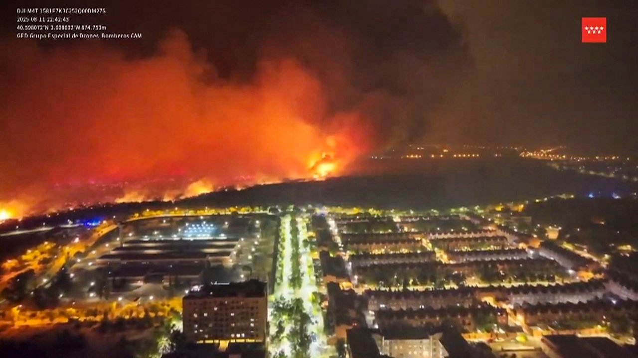 Luto en la hípica madrileña por el incendio de Tres Cantos