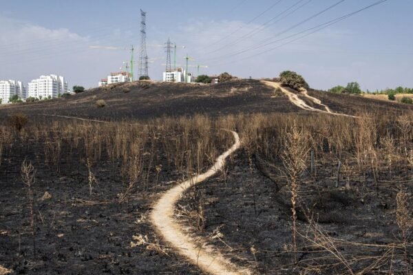 Ayuda para afectados por incendios: descuento del 80% en recibo del agua. El Periódico de España