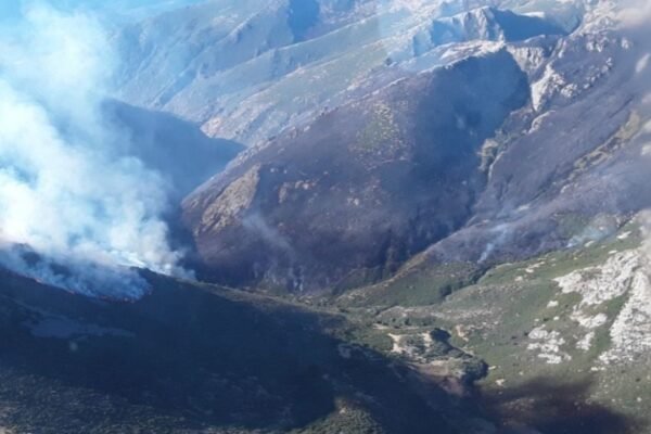 Castilla-La Mancha eleva a nivel 2 el incendio de Guadalajara y ordena evacuar dos núcleos urbanos