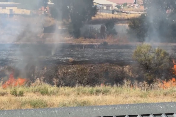 Extinguido un incendio de pastos, sin heridos, en la Cañada Real