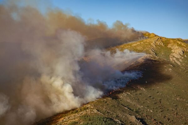 La Comunidad refuerza con dos medios aéreos y siete terrestres su dispositivo de colaboración en incendio de Guadalajara