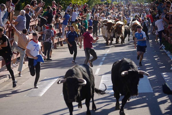 Fiestas