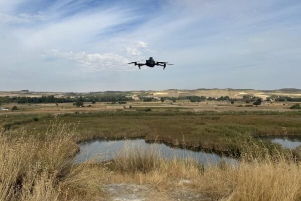 drones para el seguimiento de aves autóctonas en el Parque Regional del Sureste 1