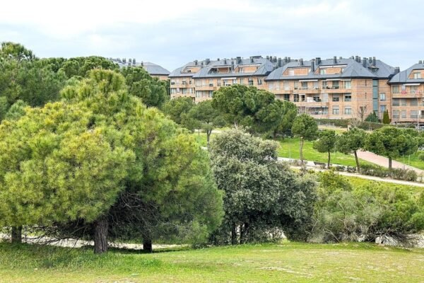Zona verde y edifcios residenciales en Majadahonda
