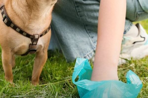Una persona recoge las deposiciones de su perro