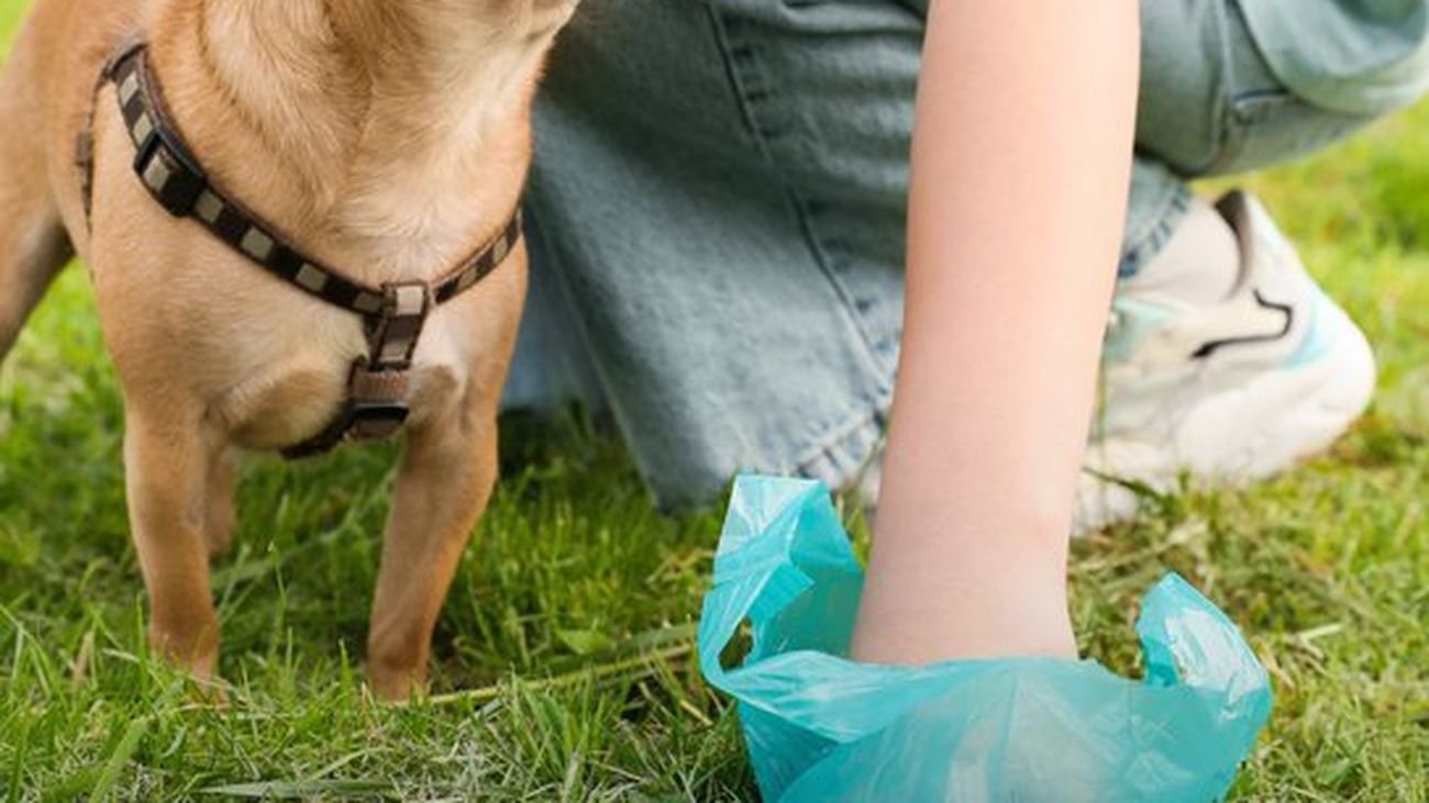 Una persona recoge las deposiciones de su perro