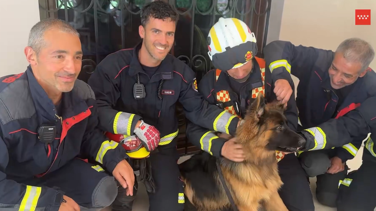 Bomberos de la Comunidad de Madrid rescatan a un cachorro de pastor alemán en Majadahonda