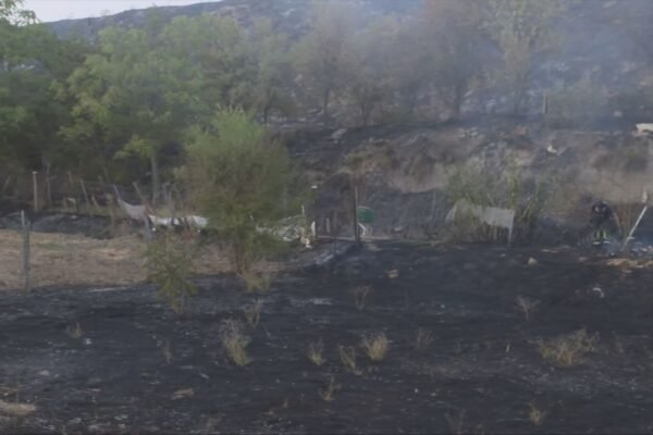 Controlado incendio de pastos en Mercamadrid que afectó la circulación de trenes