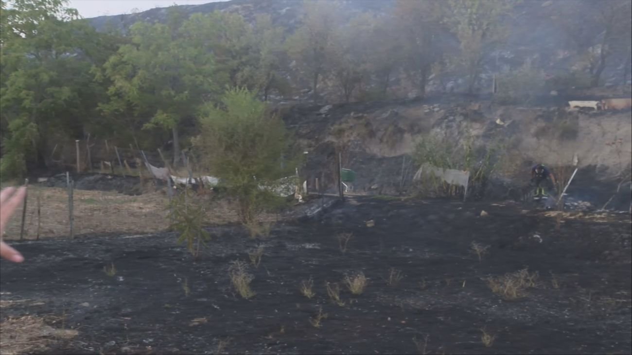 Controlado incendio de pastos en Mercamadrid que afectó la circulación de trenes
