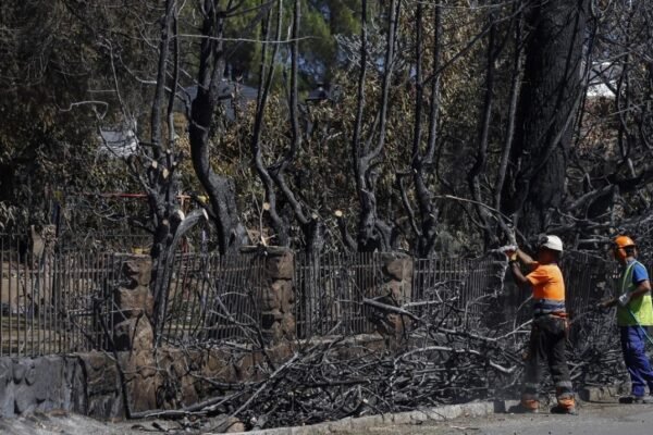 La Comunidad de Madrid impulsa la reconstrucción de la Sierra Oeste tras los incendios
