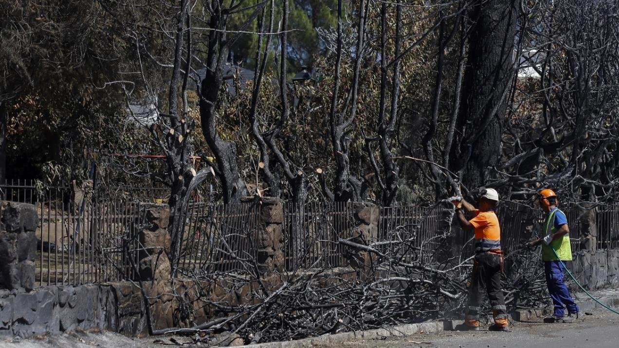 La Comunidad de Madrid impulsa la reconstrucción de la Sierra Oeste tras los incendios