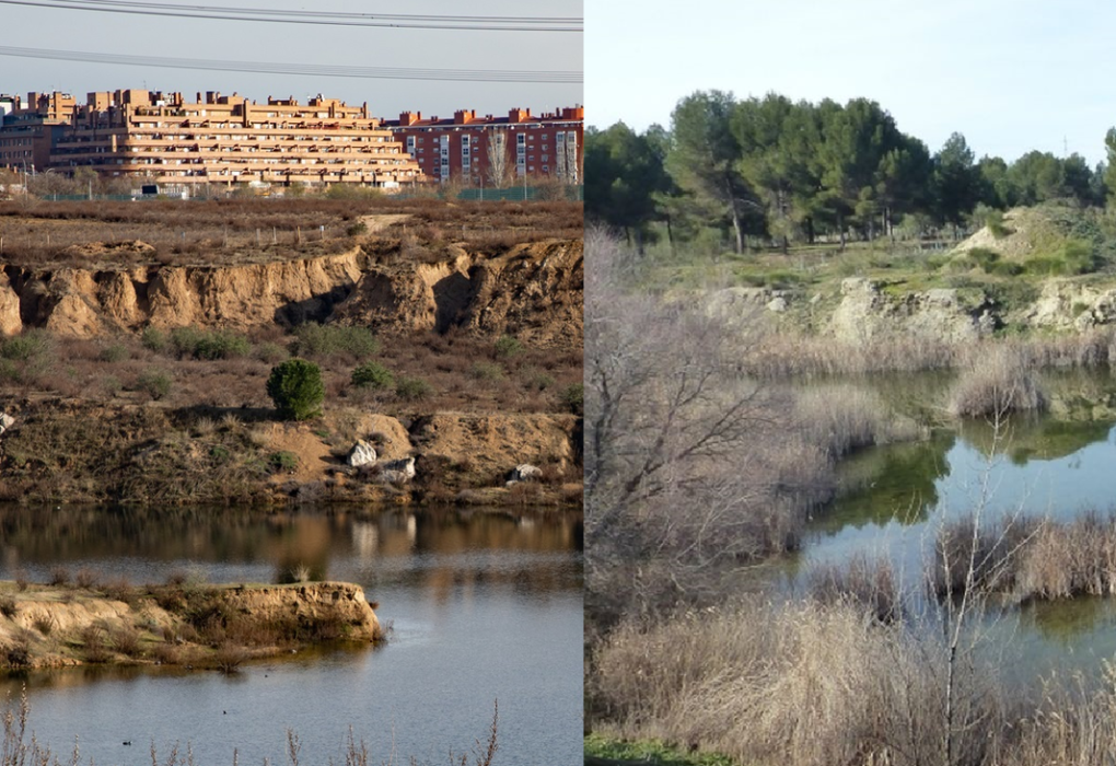 Las lagunas de Ambroz, en San Blas-Canillejas (i) y las de Horna, en Getafe (d)