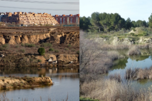 Las lagunas de Ambroz, en San Blas-Canillejas (i) y las de Horna, en Getafe (d)