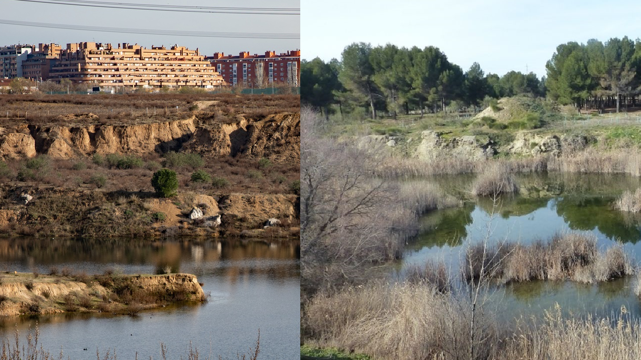 Las lagunas de Ambroz, en San Blas-Canillejas (i) y las de Horna, en Getafe (d)