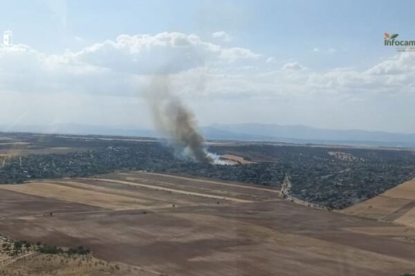 Columna de humo en una zona forestal de la localidad de Galápagos, en Guadalajara