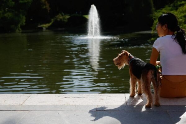 Vista del parque de El Retiro