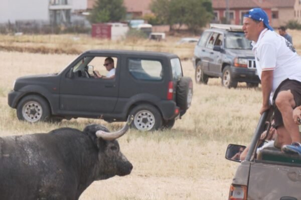 Madrid se vuelca con el regreso de los encierros por el campo en Valdeolmos-Alalpardo