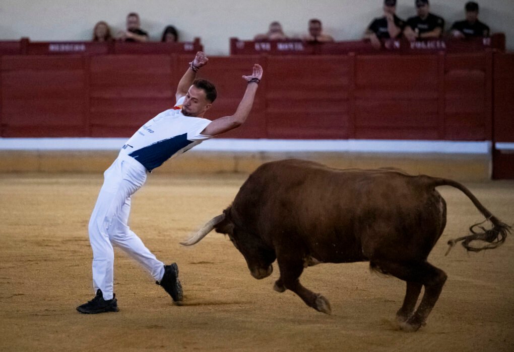 Madrid se vuelca con la Feria Taurina de Alcalá y sus destacados carteles de toros