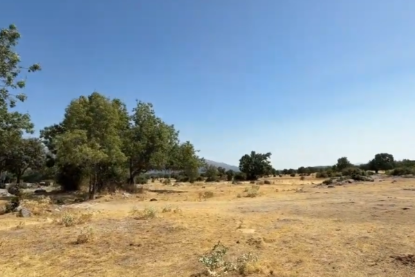 Dehesa Vieja de Moralzarzal