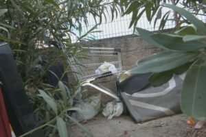 Los vecinos de Carabanchel alertan sobre el deterioro del Parque Emperatriz María de Austria