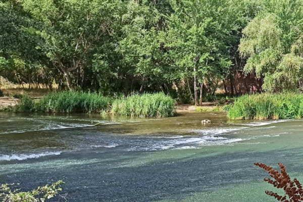 Madrid invita a sus vecinos a explorar la naturaleza con nuevas rutas ambientales en Alcalá