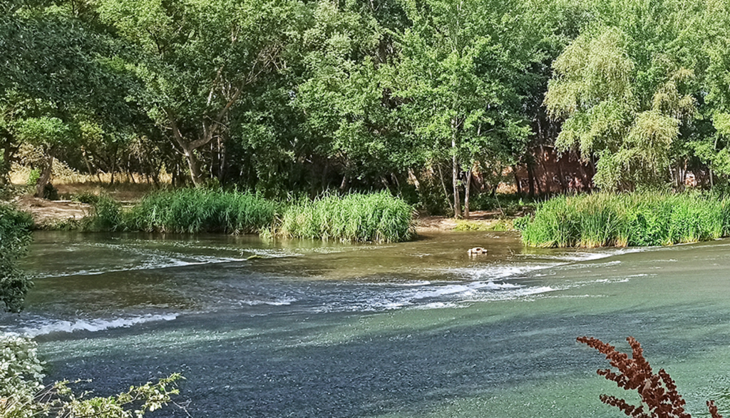 Madrid invita a sus vecinos a explorar la naturaleza con nuevas rutas ambientales en Alcalá