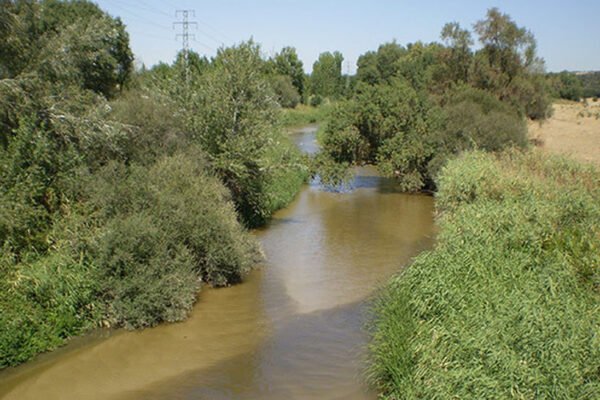 El río Guadarrama a su paso por Navalcarnero