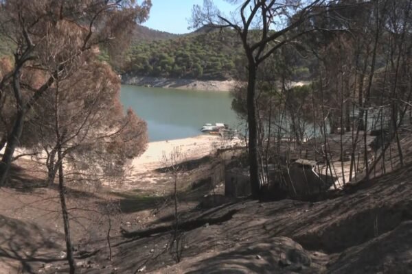 Las cicatrices del incendio en la playa de la Virgen de la Nueva marcan un futuro incierto para sus vecinos