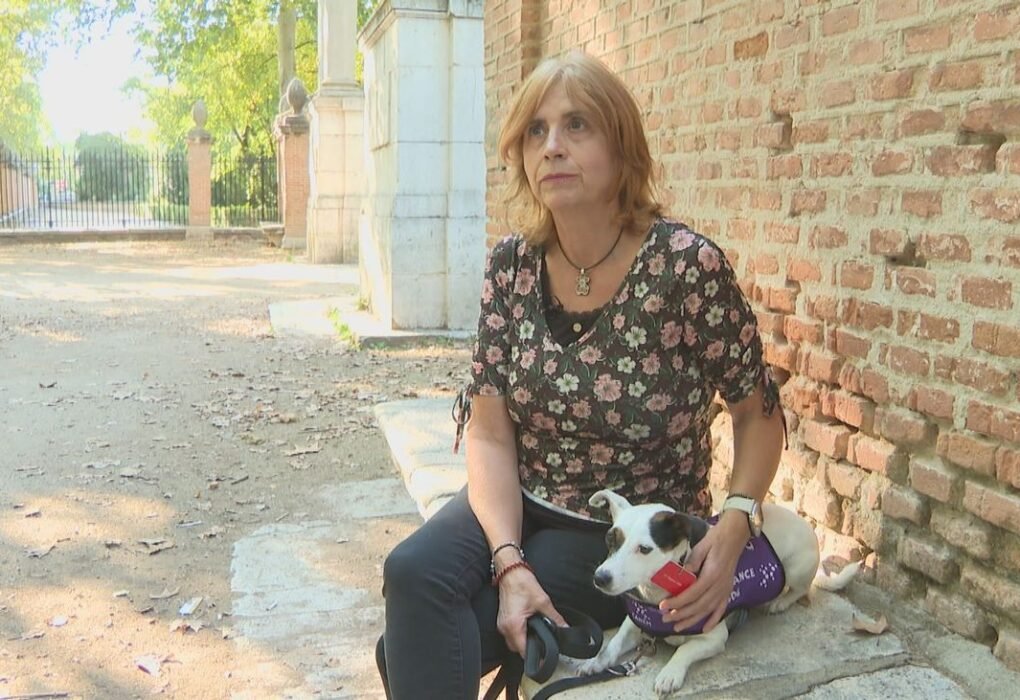 Madrid avanza en la detección temprana de crisis epilépticas gracias a perros de alerta médica