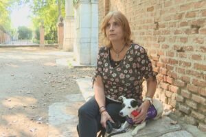 Madrid avanza en la detección temprana de crisis epilépticas gracias a perros de alerta médica