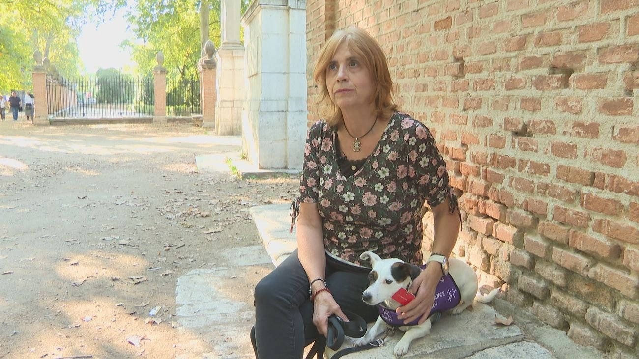 Madrid avanza en la detección temprana de crisis epilépticas gracias a perros de alerta médica